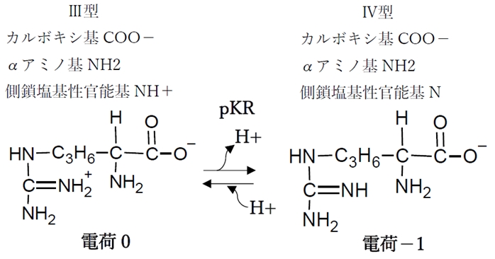 塩基性アミノ酸のリシン,アルギニン pHの変化と解離,化学種の存在比(割合),荷電,等電点